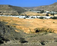 Yemeni killed in protest over water cuts: witnesses