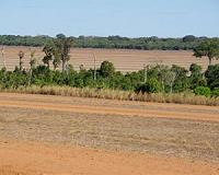 Amazon deforestation up 29 pc in 2013 -- Brazil