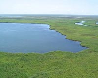 Sudan's White Nile marshes threatened by oil pollution