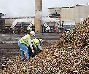 Boeing, Embraer back sugar jet-fuel study