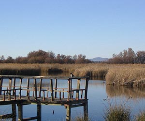Heavy rains bring Spanish wetlands back to life