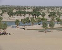 Last chance for oasis in China's desert