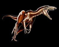 Discovery Of New Dinosaur Provides Insight To Early Evolution