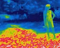 Mosquitoes tuned to seek out warm-blooded hosts
