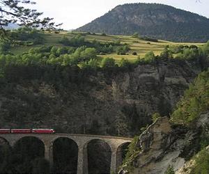 European mountain plant population shows delayed response to climate change