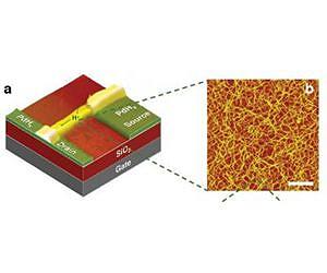Proton-based transistor could let machines communicate with living things