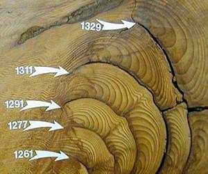 Tree rings reveal forest fires from hundreds of years ago