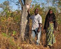 Trees supplement income for rural farmers in Africa
