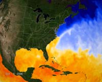 NASA Live Tropical Seas Surface Temperature Website Gives Climate, Hurricane Clues