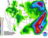 Tropical Storm Colin: Florida declares state of emergency