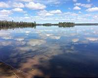 Montana State laser technology could help Yellowstone battle invasive trout