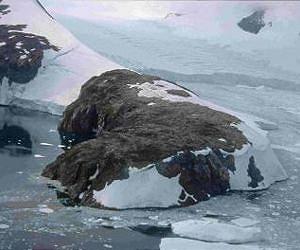 On warming Antarctic Peninsula, moss and microbes reveal unprecedented ecological change