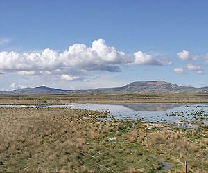 Climate change increases stress, need for restoration on grazed public lands