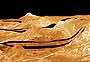 Venusian Volcanoes Powered Climate Driven Tectonics