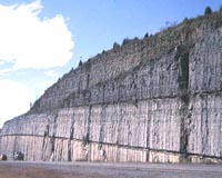 Volcanoes Played Pivotal Role In Ancient Ice Age, Mass Extinction