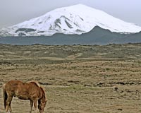 'Great opportunities' from climate change: Iceland PM