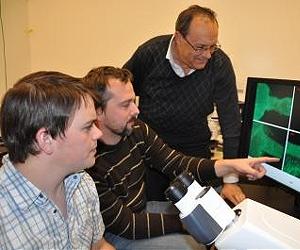 Entomologists Could Shrink Dengue-Spreading Mosquito Population