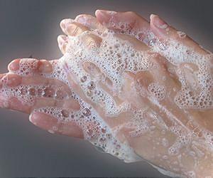 What mechanism generates our fingers and toes