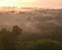 Columbia engineers develop new approach to modeling Amazon seasonal cycles