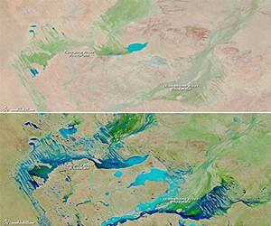 Global sea level rise dampened by Australia floods