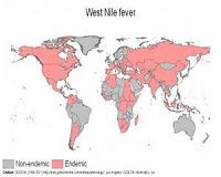 West Nile virus epidemics made worse by drought: study