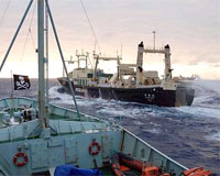 Australia warns deaths possible if Japan whalers, protesters clash