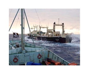 Japan slams anti-whaling Sea Shepherd 'attacks' on high seas