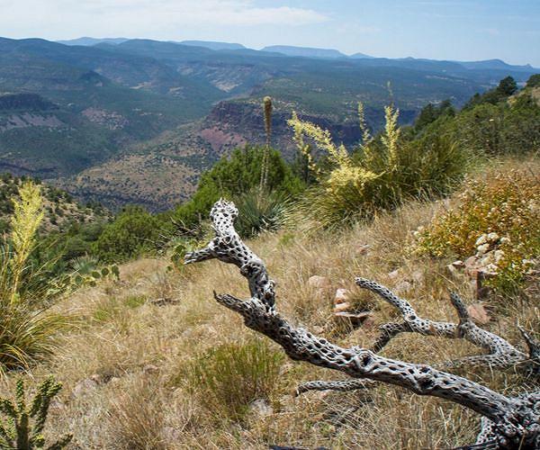 Arizona limits building as groundwater dries up