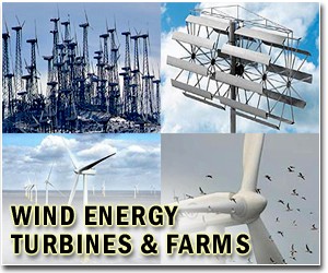 Md. report optimistic about wind power