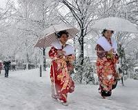 Heavy snow kills 5, disrupts travel in Japan