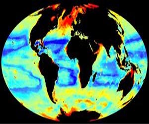 Understanding Patterns Of Seafloor Biomass