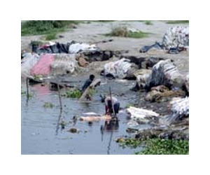 80% of Indian sewage flows untreated into rivers: study
