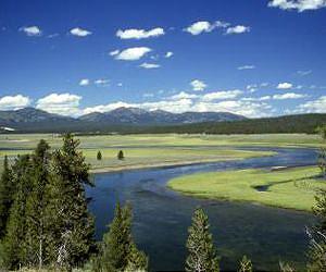Supervolcano eruptions are triggered by melt buoyancy