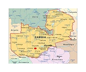 Chinese firms accused of ignoring Zambian workers' rights