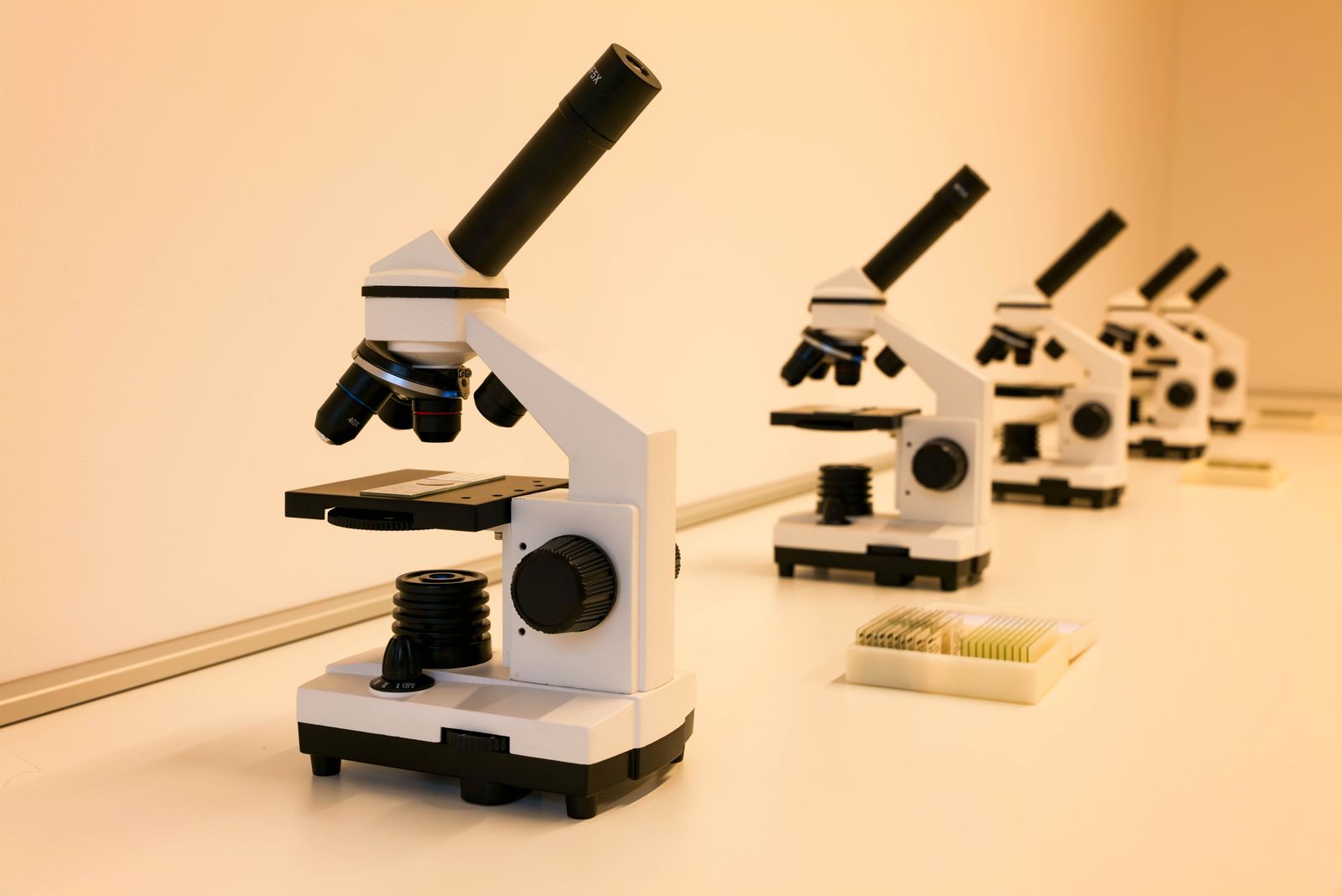 Alexander Fleming laboratory