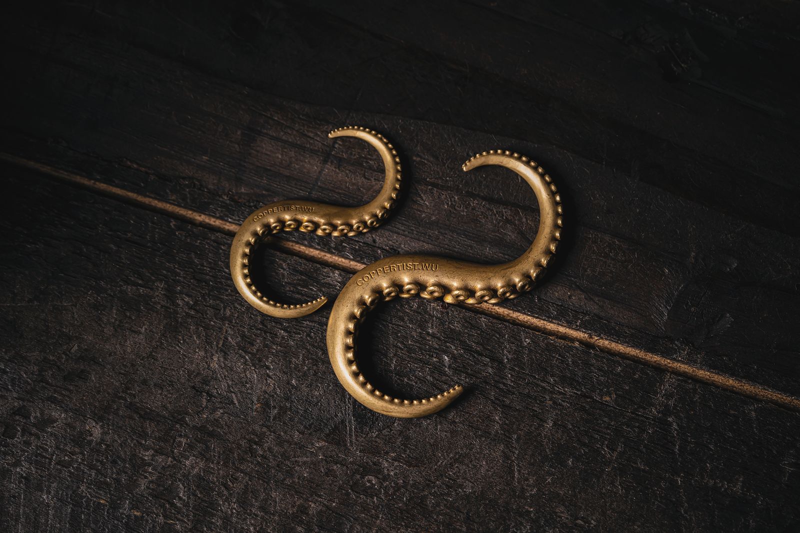 octopus arm suckers