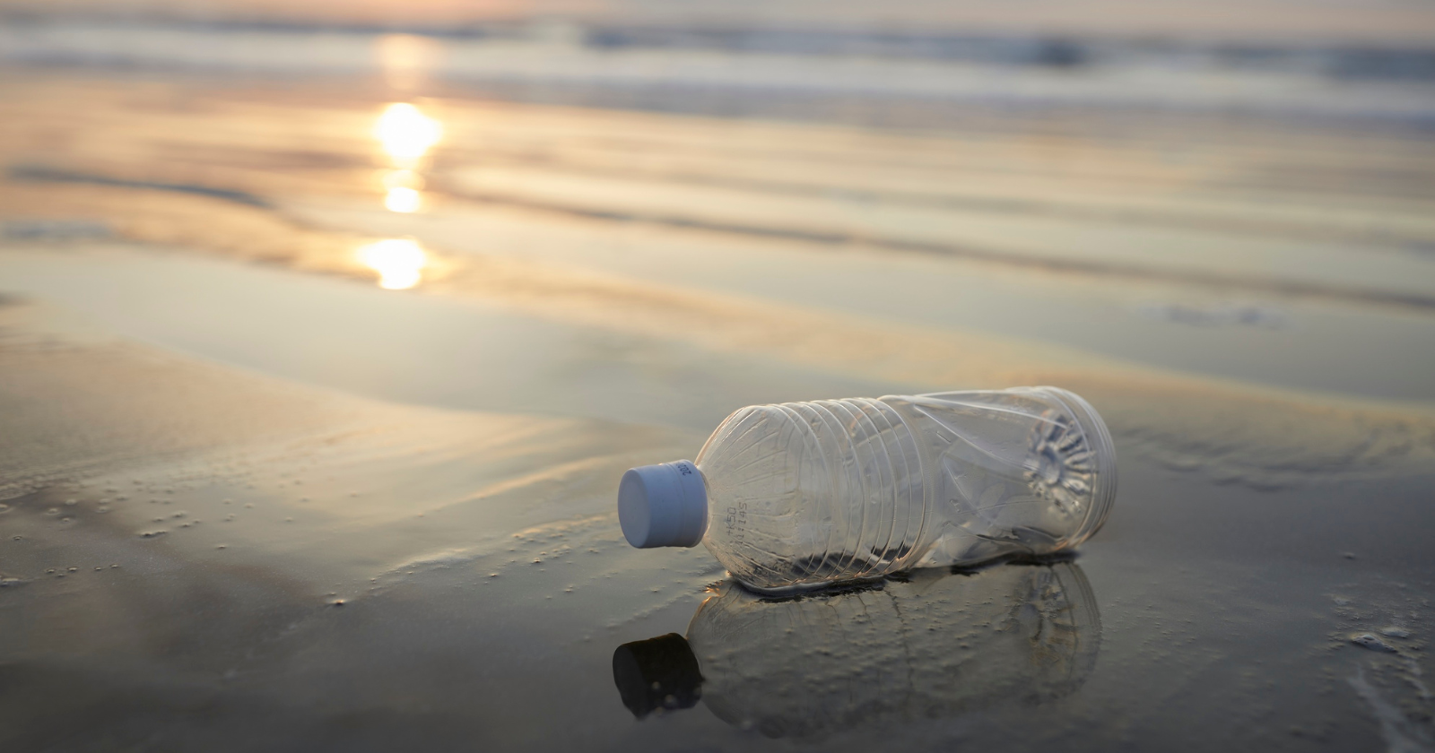 A single plastic water bottle takes about 450 years to decompose — meaning every bottle produced since the 1970s is still essentially intact somewhere on Earth, slowly breaking down into particles now found in Arctic ice, Pyrenees rainfall, and the sediments of the Mariana Trench