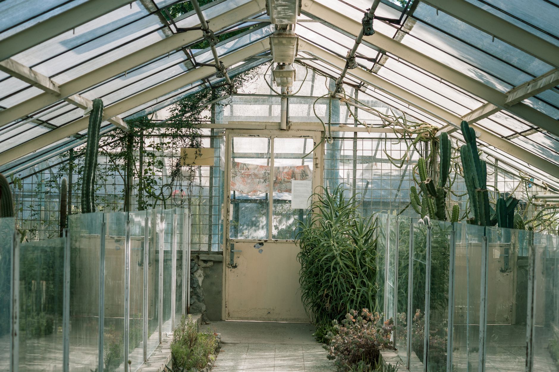In 1991, eight people sealed themselves inside a glass world in the Arizona desert for two years, and the experiment nearly unravelled when the oxygen began disappearing from the air they were breathing