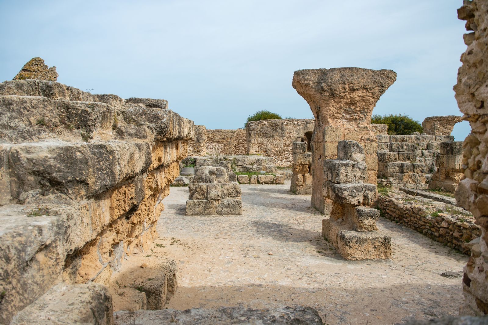 Why does concrete poured beneath an emperor’s latrine 1,900 years ago keep sealing its own cracks while modern reinforced structures can begin failing within decades?