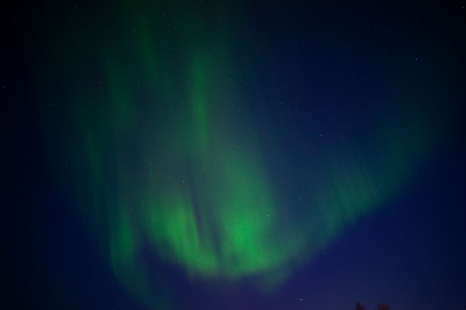Aurora above telegraph poles
