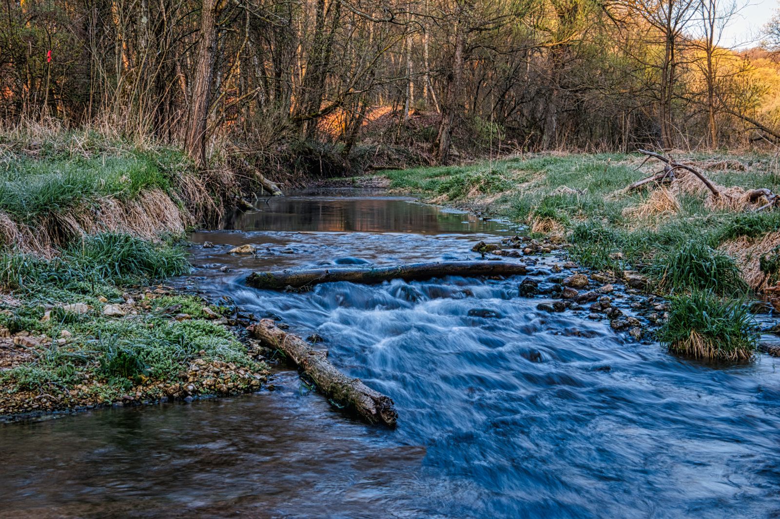 beaver dam headwater stream