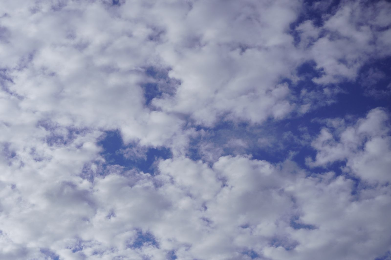 cumulus cloud sky