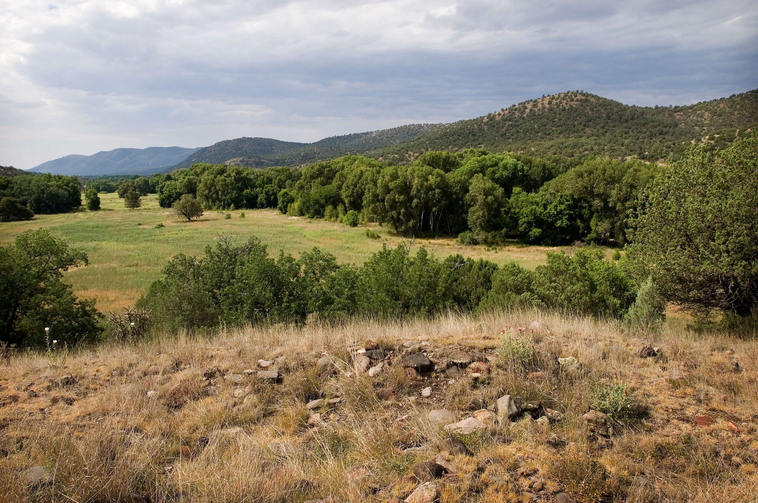 Nearly 11,000 acres along the Mimbres River in southwestern New Mexico became a new Wildlife Management Area this month, carrying pre-1907 water rights and critical habitat for the yellow-billed cuckoo and Chiricahua leopard frog after Trust for Public Land closed the ranch with the state.