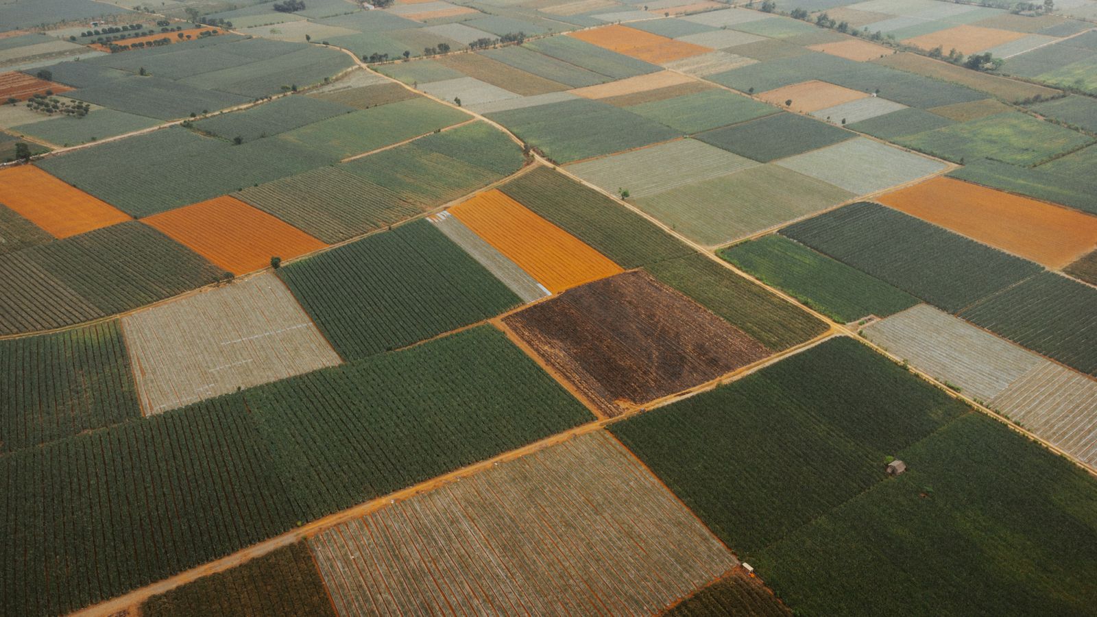 aerial farmland patchwork