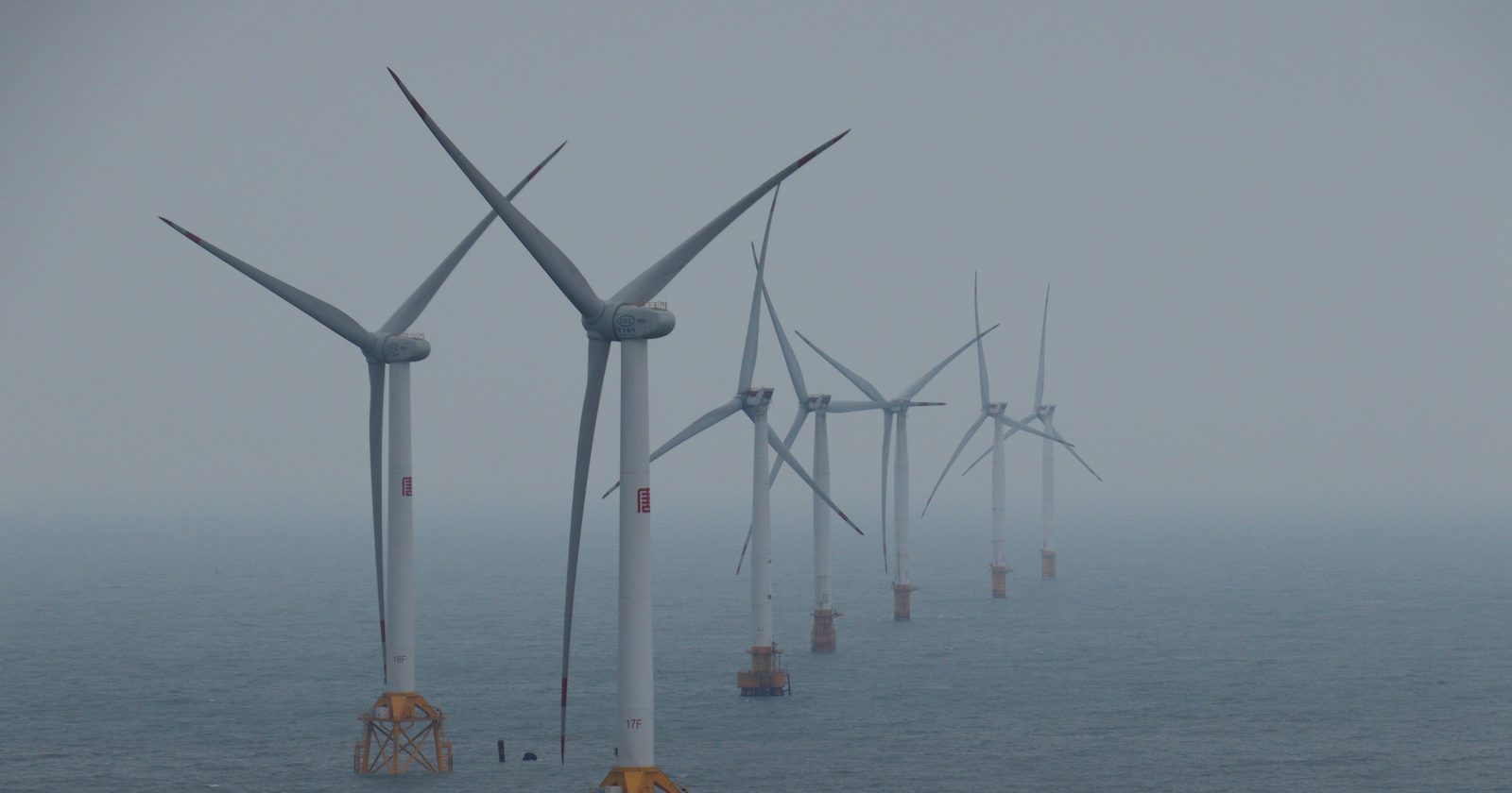 Grid operators in the Netherlands can now slow or stop North Sea wind turbines for 4 hours when mass bird migration is forecast; on May 13, 2023, turbines at Borssele and a wind farm near Egmond aan Zee were shut down for four hours in an international first.