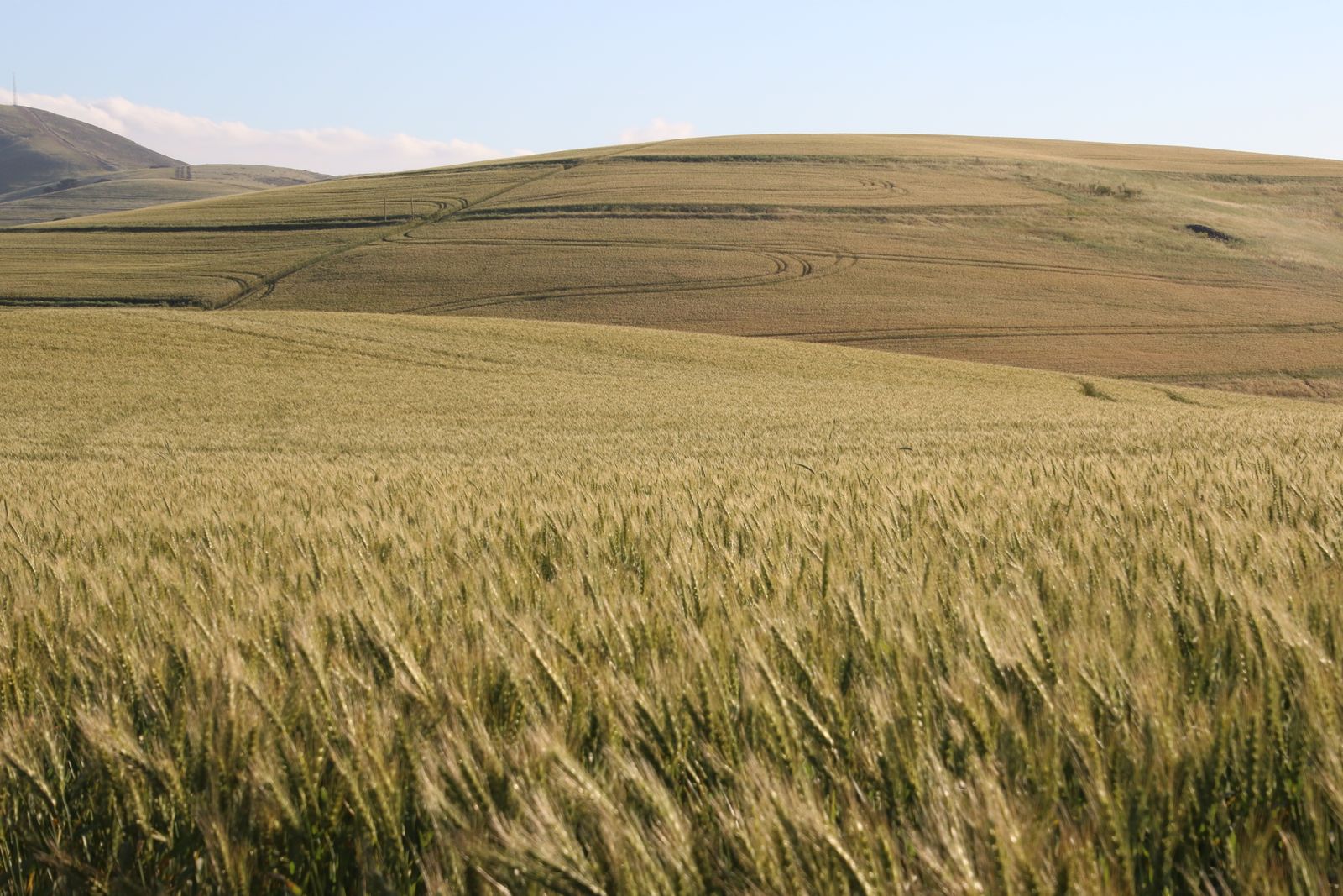 rural conservation easement land
