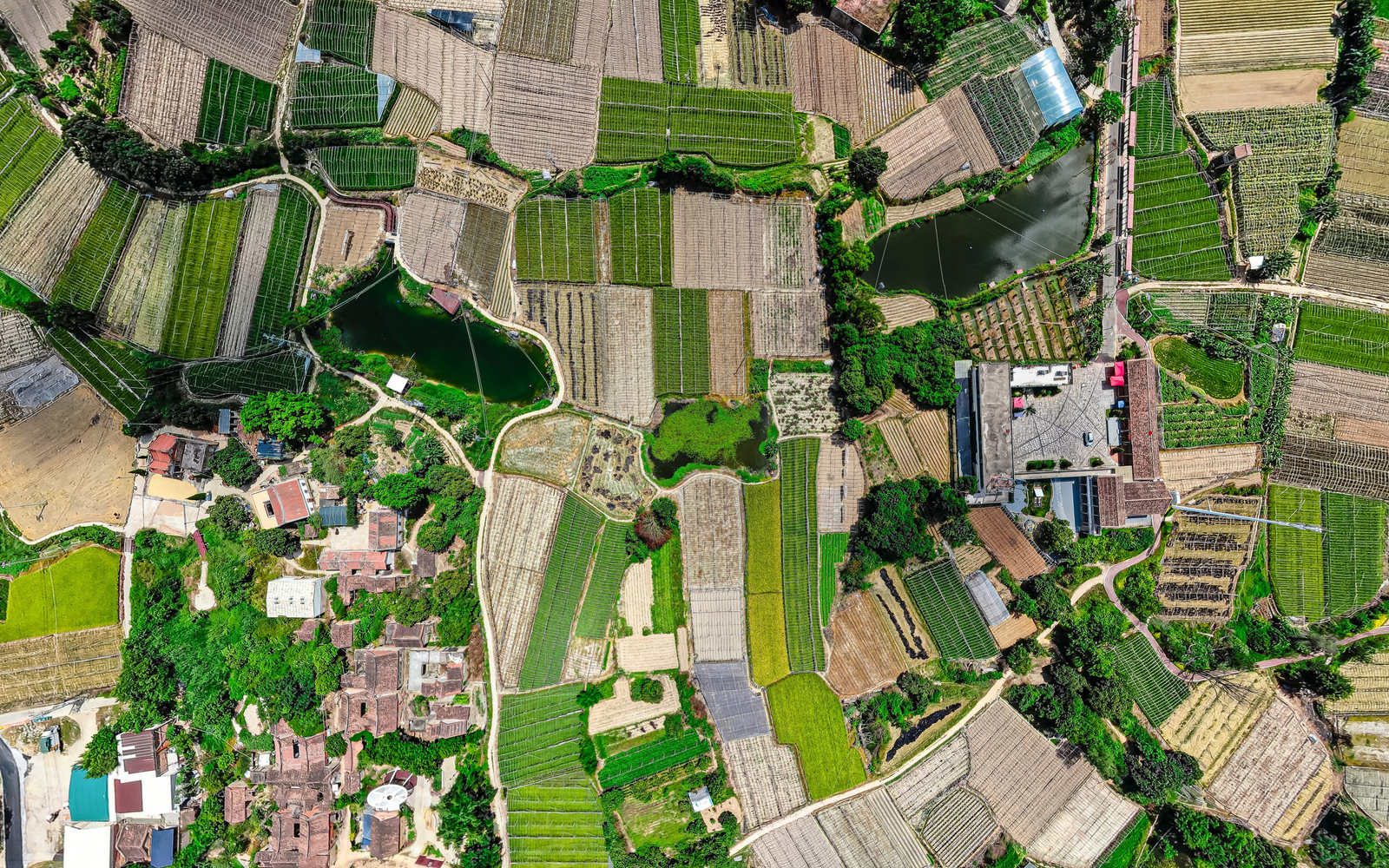 The 2011 Nature paper 'Solutions for a Cultivated Planet' argued that halting agricultural expansion, closing yield gaps, using inputs more efficiently, shifting diets and cutting food waste could together roughly double global food production while shrinking farming's environmental footprint.