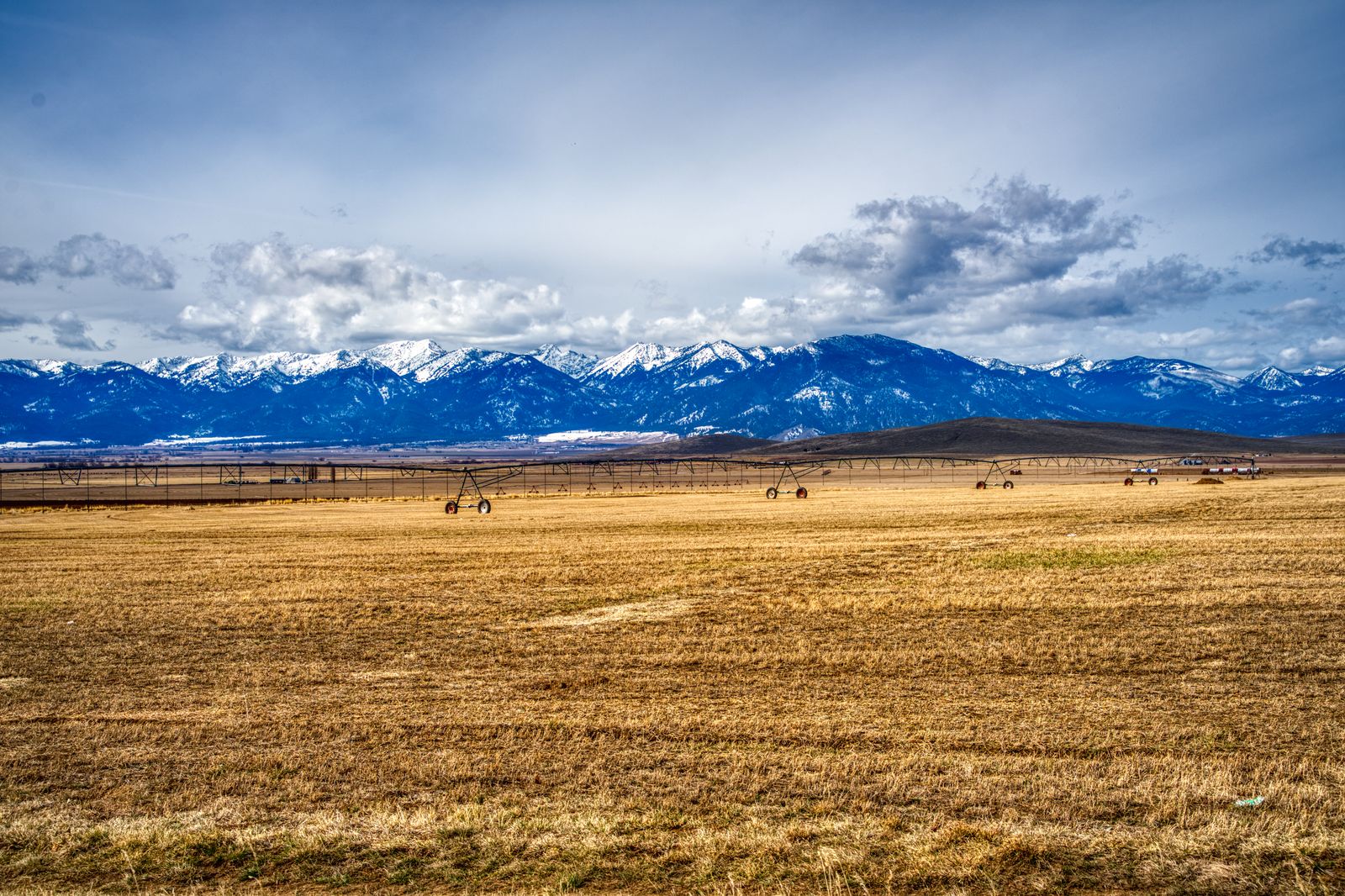 The IRS has opened a new Office of Conservation Easements to centralise policy, enforcement and case-resolution strategy on syndicated easement disputes, and is