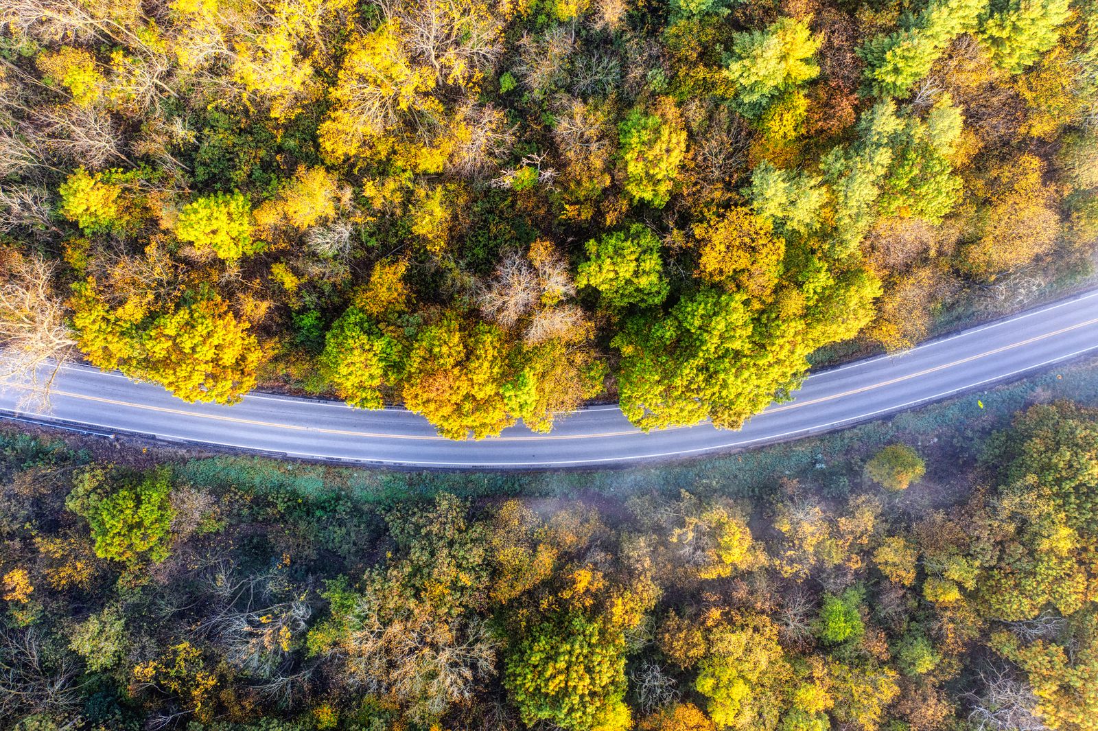 Wisconsin's resurfacing of 2.2 miles of Highway 42 in Door County will keep every one of the road's 15 famous curves exactly where they are.